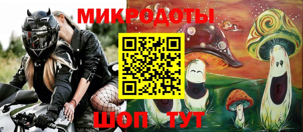 Псилоцибиновые грибы Cubensis Гудермес
